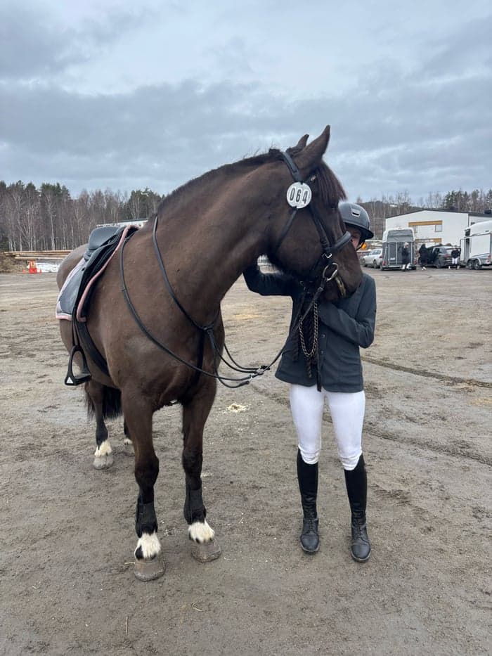 Media 8 av G.G. Utopia