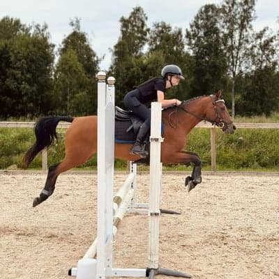 Ekellundasbitabelle
