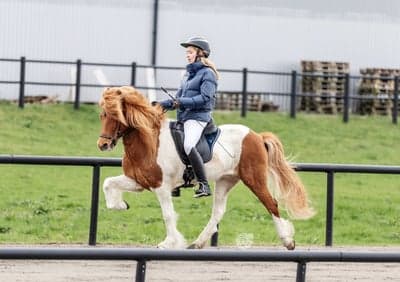 Inlägg 62 av Allround