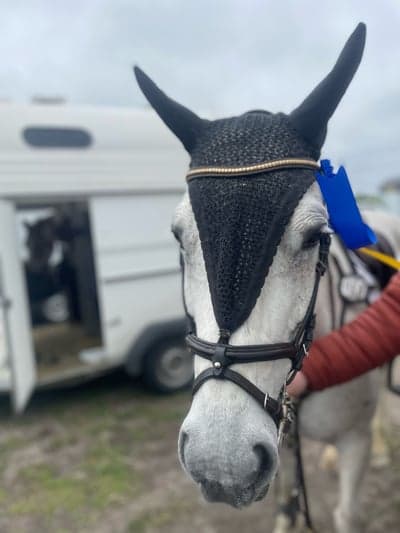 Inlägg 14 av Connemara med titeln Vinst i ld a: ackumulator 