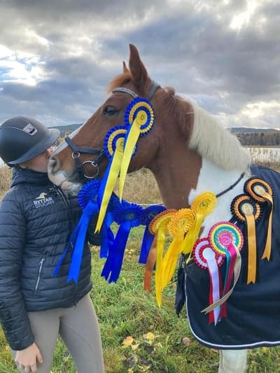 Inlägg 4 av Morganhäst med titeln Första året vi fått hem rosetter i typ varenda start❤️