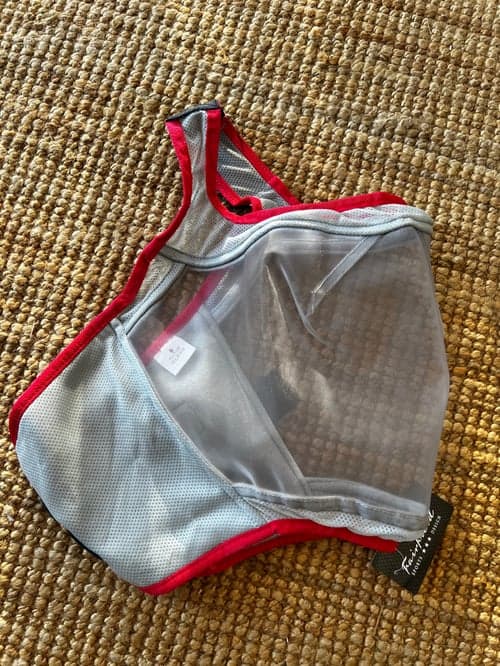 Bild av Flughuva utan öron