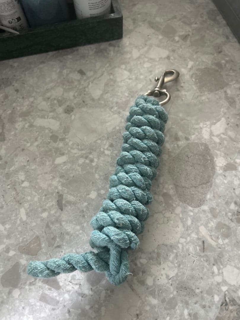 Bild 1 av Blå/grönt grimskaft 