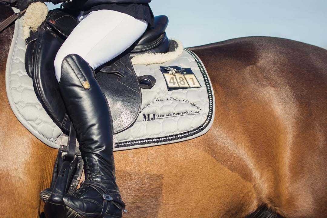 Bild 1 av Lämna din häst eller ponny hos oss för inridning, utbildning + tävling