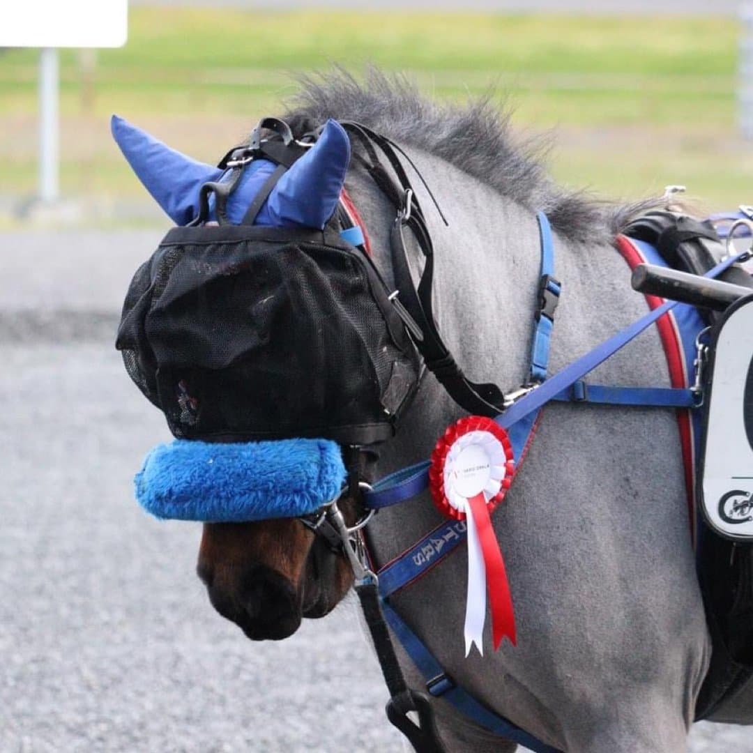 Bild 1 av Stenbydal's Dixi