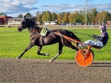 Inlägg 5 av Trav med titeln Iris i värmning innan segern på Dannero i höstas 