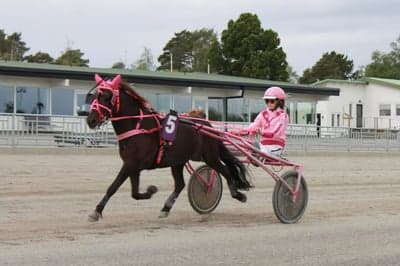 Inlägg 7 av Gotlandsruss med titeln Uppfödning 