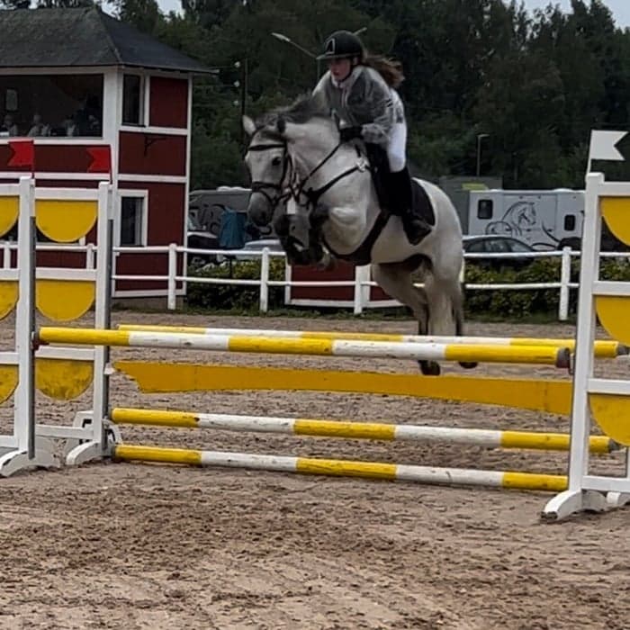 Media 1 of Hennessy de la comoe