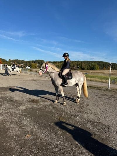 Inlägg 58 av Hoppning med titeln Hoppning