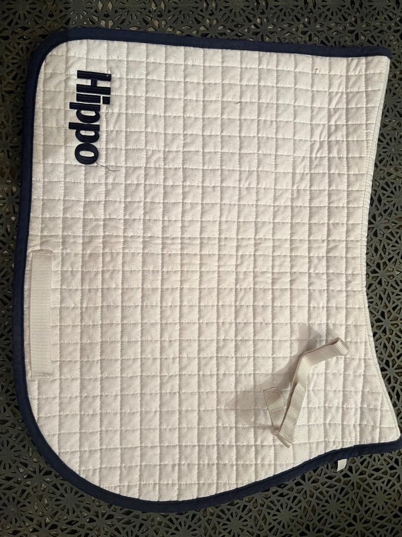 Bild 1 av Vitt schabrak från Hippo