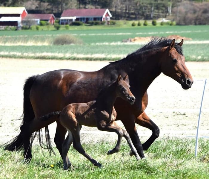 Media 2 av Für Dich