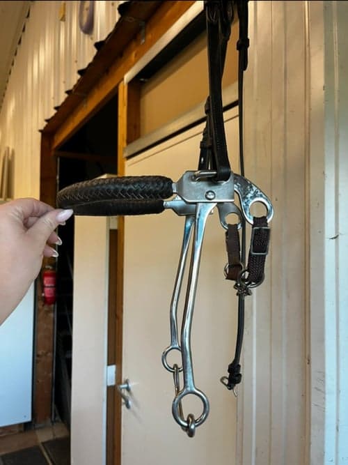 Bild av Sprenger hackamore