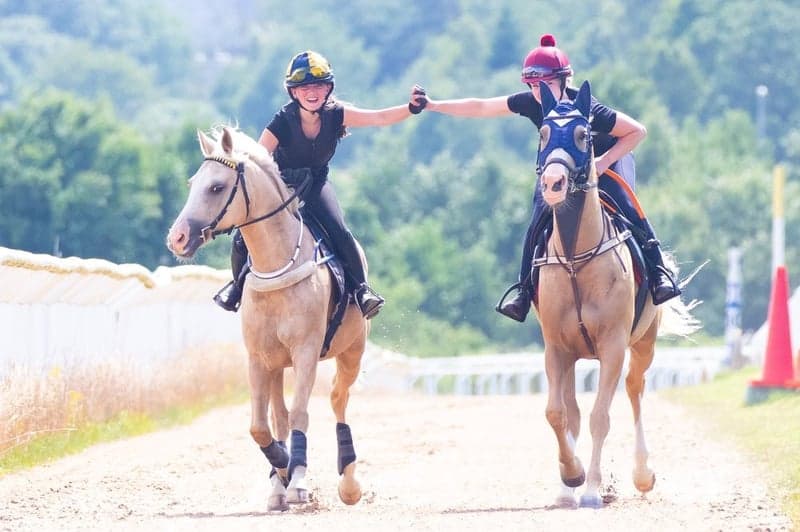 Bild 2 av Ridläger med fokus på ponnygalopp – öppet för nybörjare