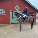 Profilbild av Elna L.