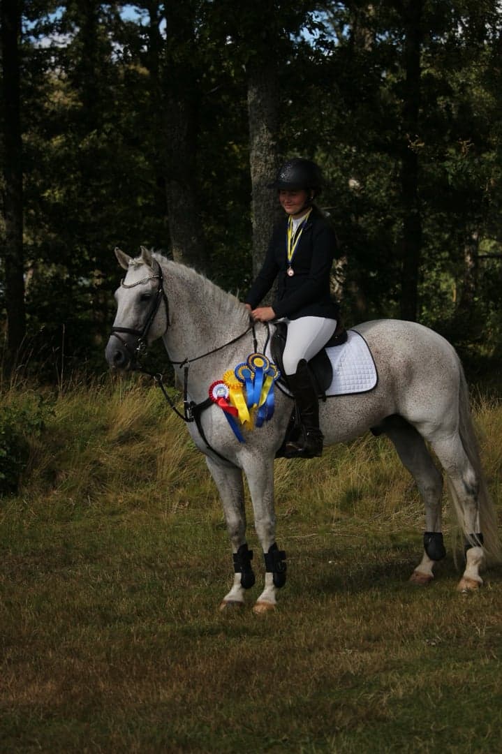 Bild 1 av Miclas Aristocrat