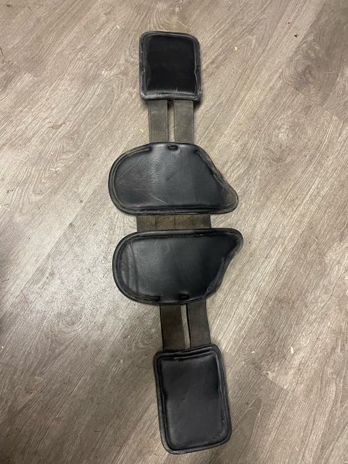 Media 2 av Svart dressygjord