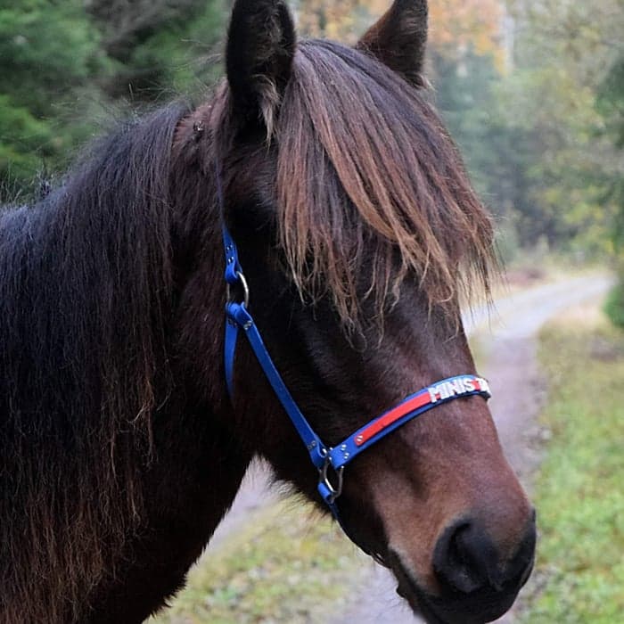 Media 1 av Min Lilla Frivolt