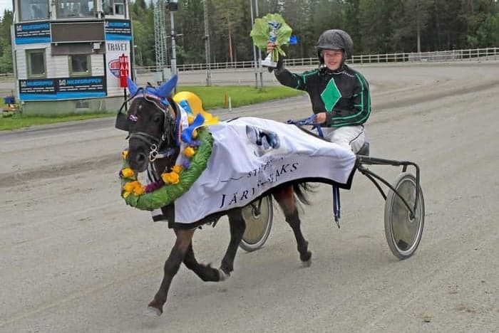 Media 1 av Träning och tävling ponnytrav