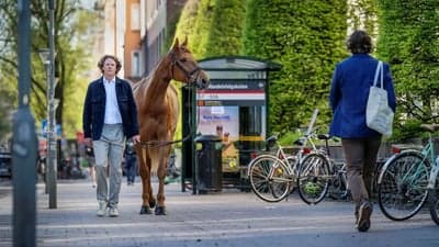 Inlägg 9 av Halvblod med titeln Reportage om Rex och Ludwig i DN  ☀️