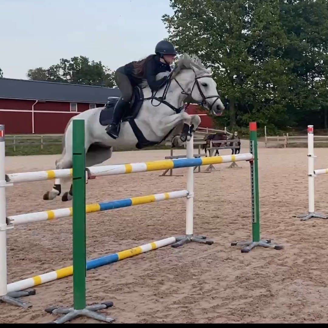 Bild 1 av Srarevagh Robe