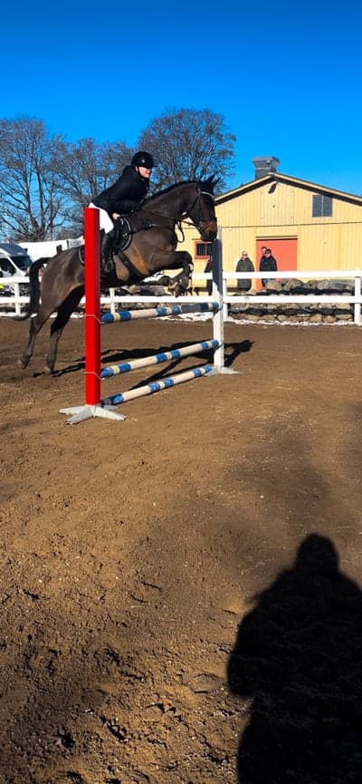 Inlägg 43 av Allround