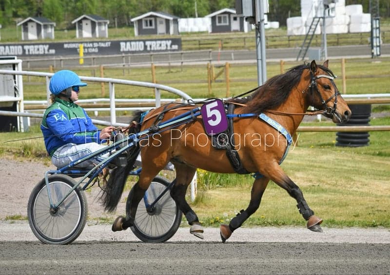 Bild 2 av Eliam G