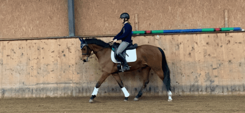 Bild 3 av Stenninge Smokey