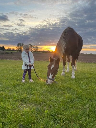 Inlägg 98 av Allround