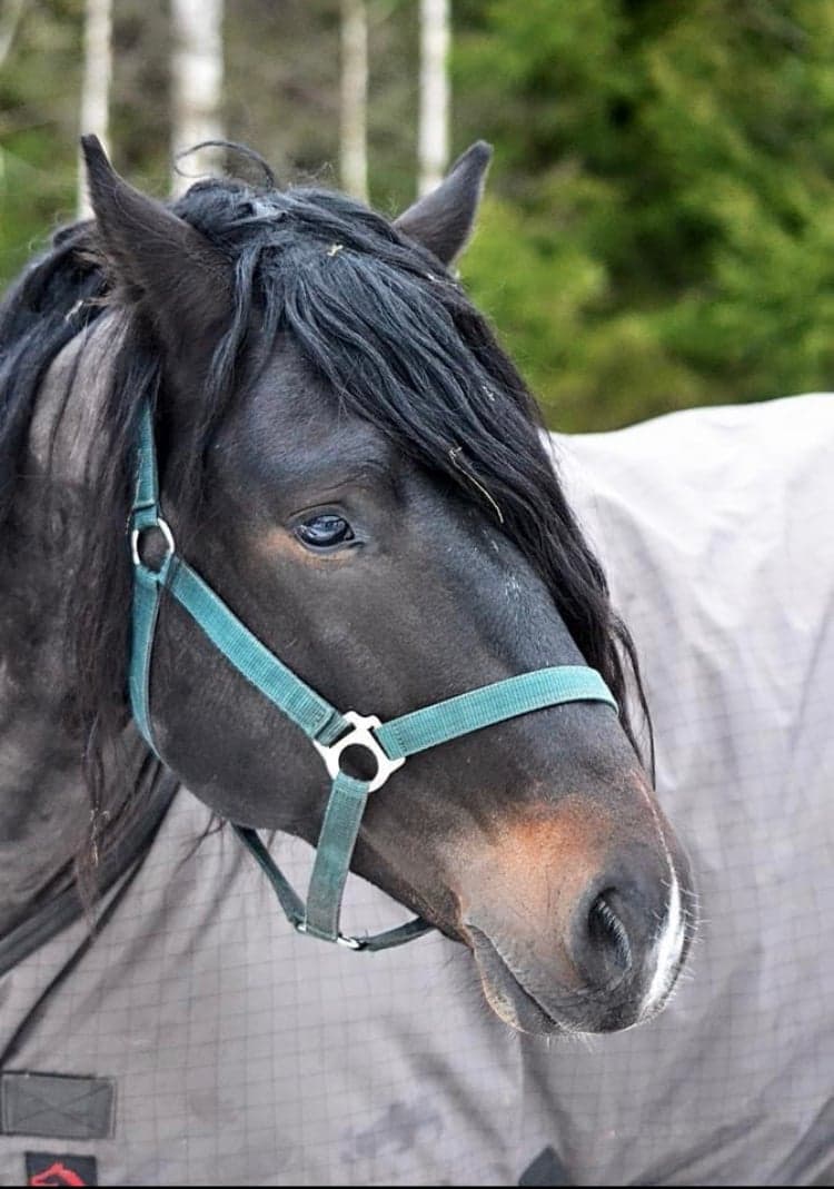 Bild 1 av Min Lilla Alexry