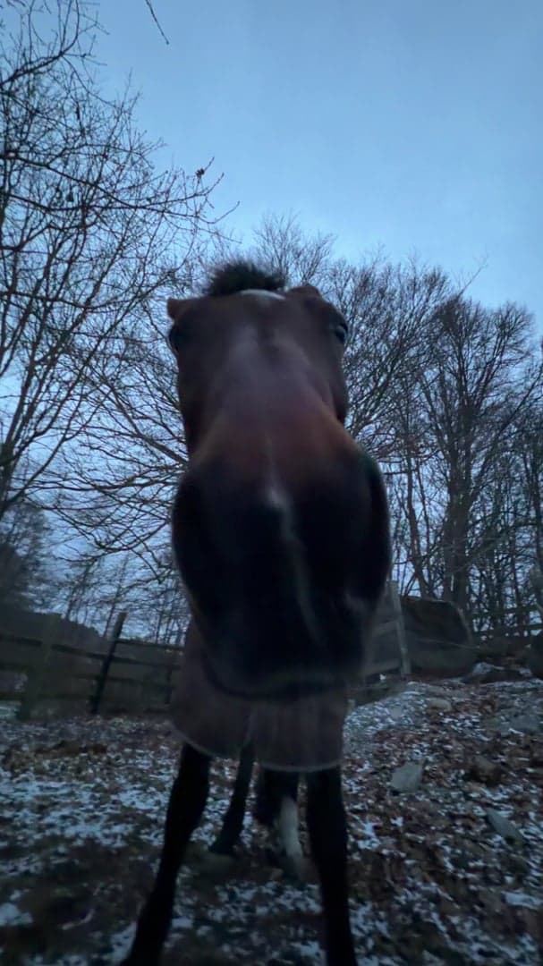 Bild 1 av Haberdasher