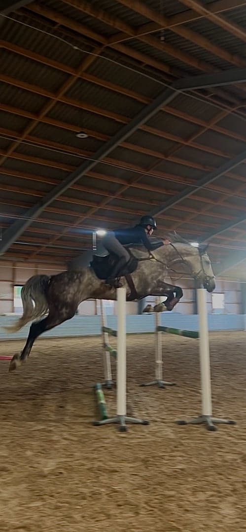 Image 1 of Actions Quidam