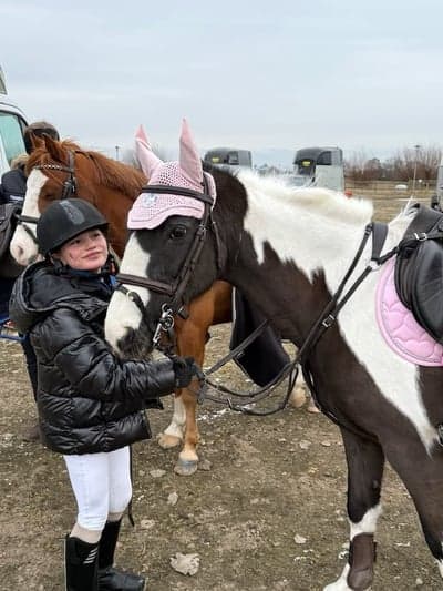 Inlägg 19 av Irländsk Sporthäst med titeln Lätt B - felfri runda! 