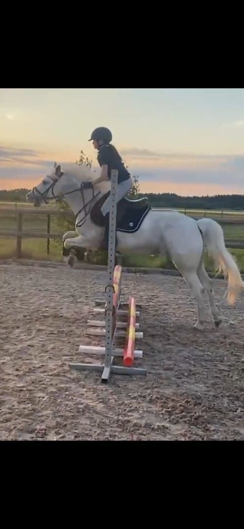 Bild 2 av Prinsessa