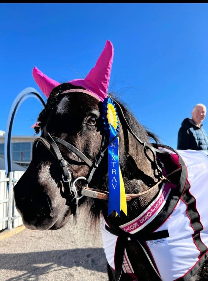 Media 1 av Gransjöns kovo