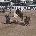 Profilbild av Felizia Bär