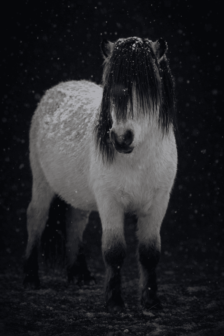 Bild 1 av Lexie's Falling From Fame