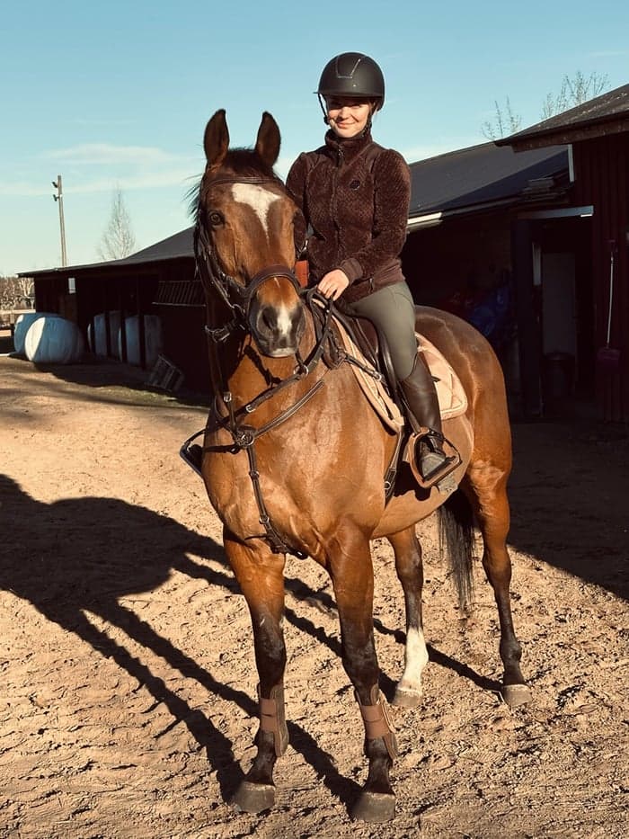 Media 4 av Trevlig, snäll valack 