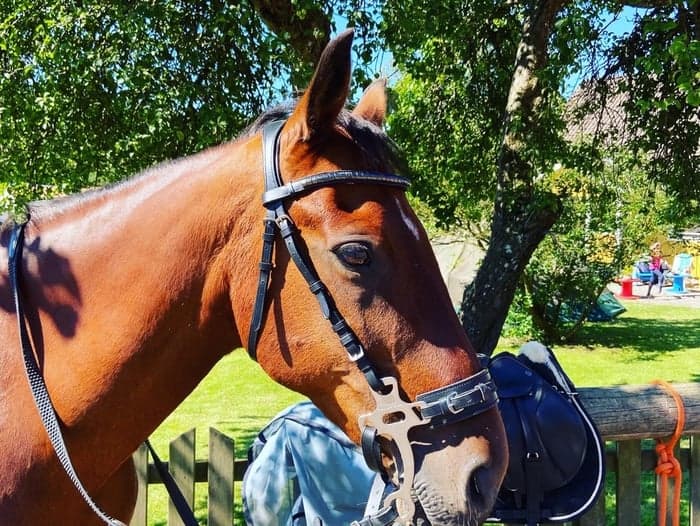 Media 1 av Tokyo drifter