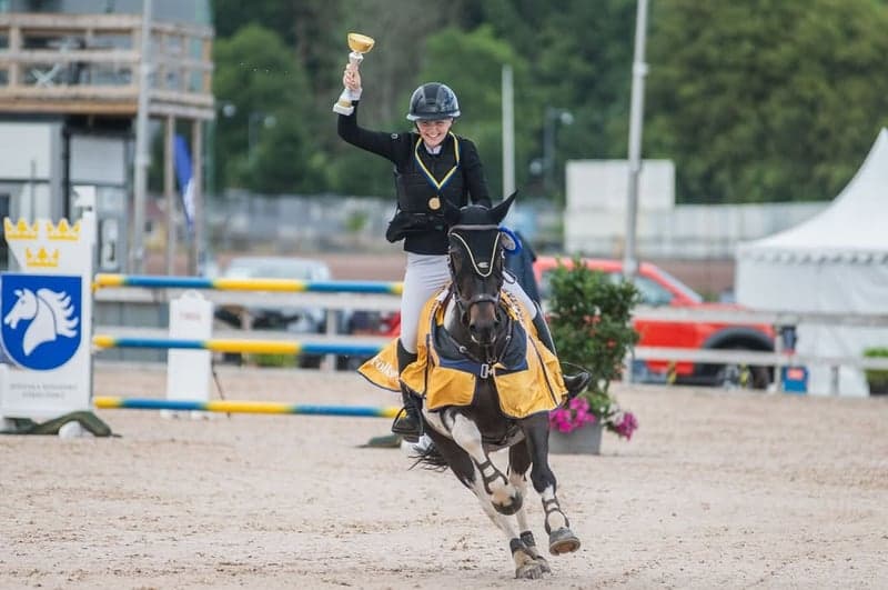 Bild 4 av Miskaun Harvey