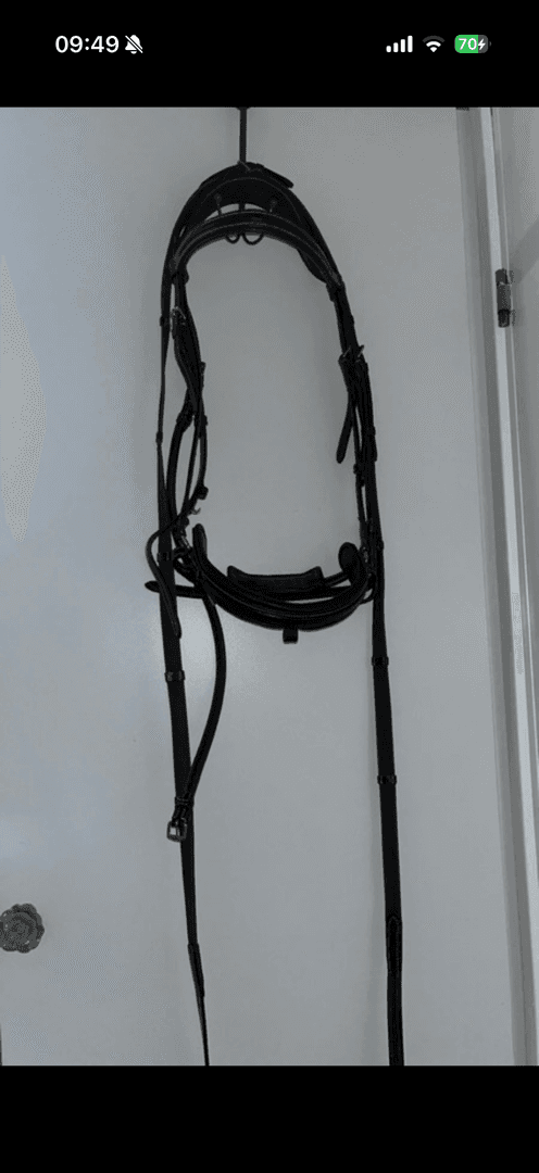 Bild av Mörkbrunt träns