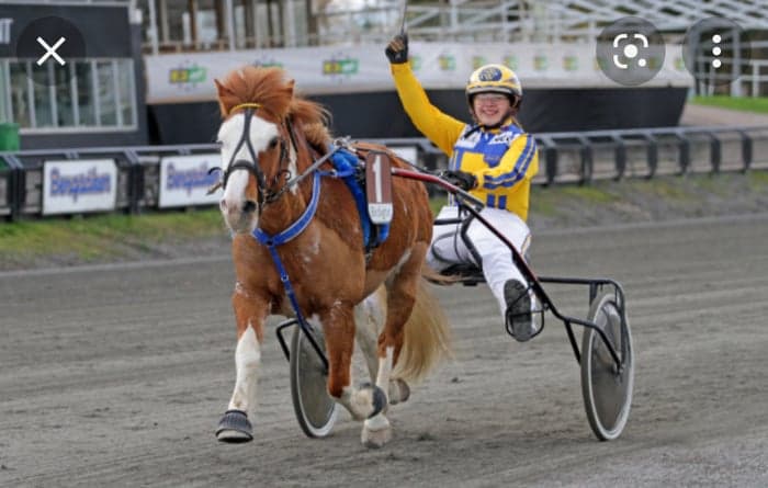 Media 1 av Stuffa runt