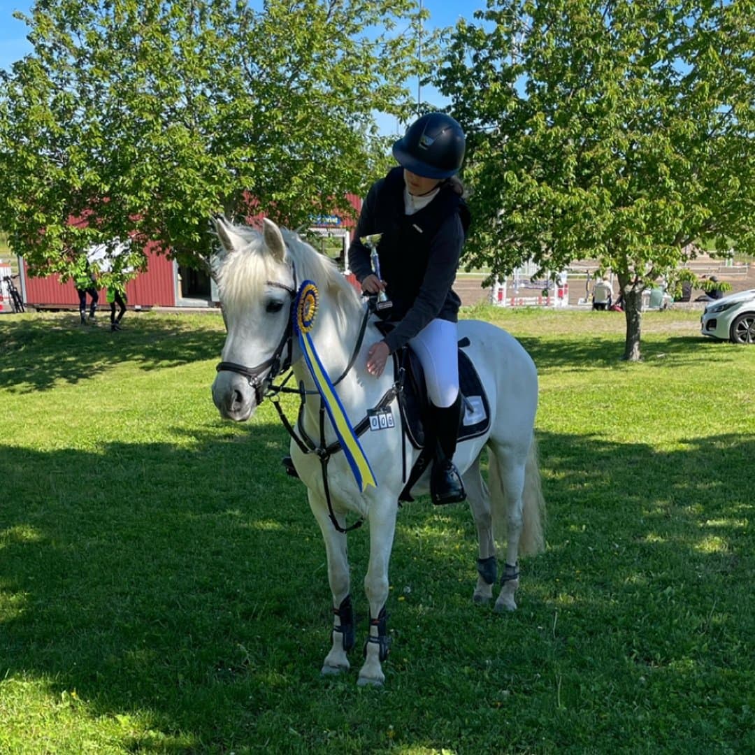 Bild 1 av Ballyerk Beauty