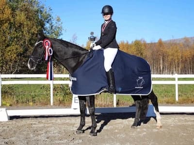 Inlägg 2 av Norsk ridhäst med titeln Klubbmästare i dressyr
