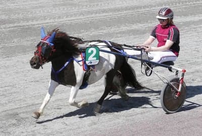 Inlägg 117 av Trav med titeln DPK’s ponnytravgala 