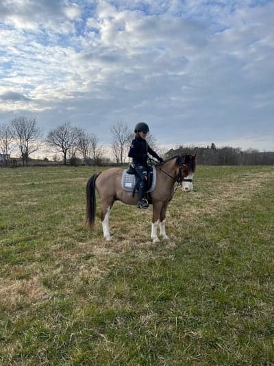 Inlägg 70 av Allround med titeln Finaste harlekin🌺