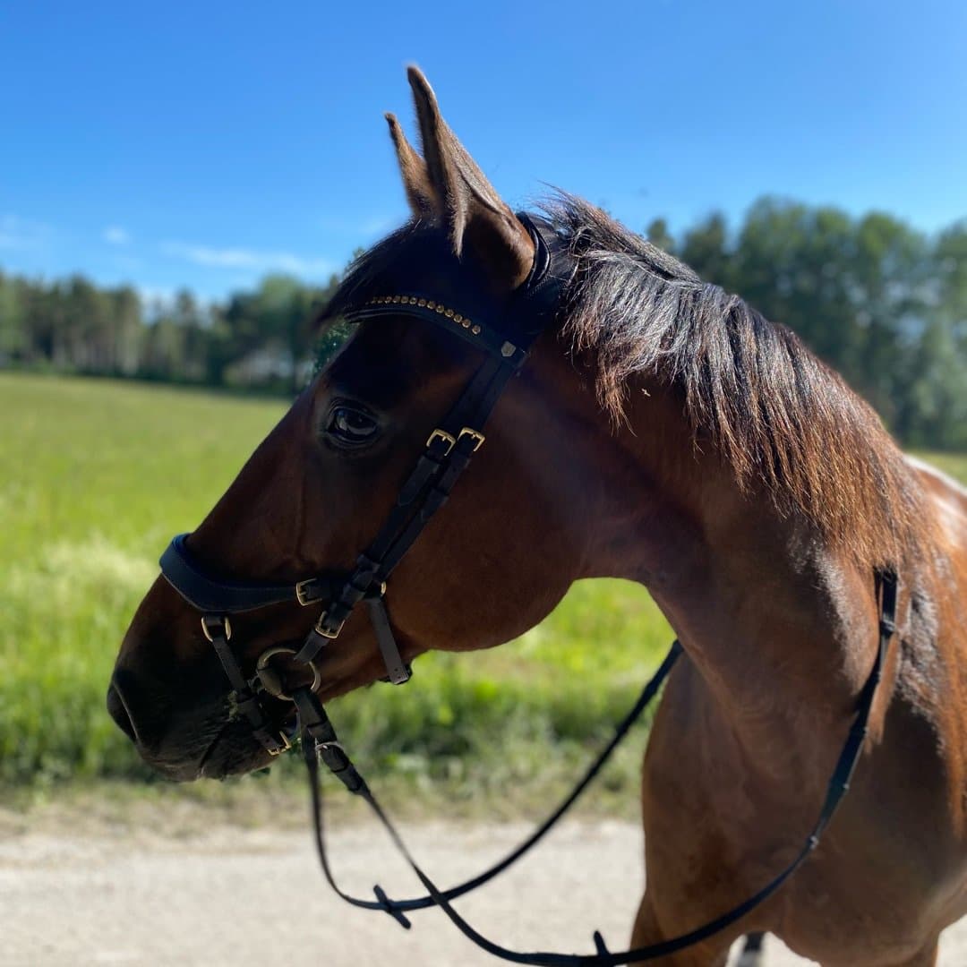 Bild 1 av Givatchy boko