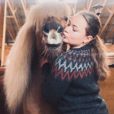 Inlägg 79 av Allround med titeln Hingste kos🧸🤍