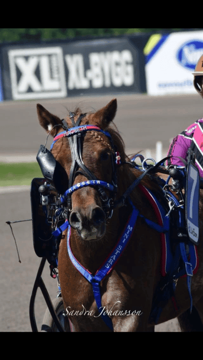 Inlägg 85 av Trav med titeln Ponnytrav 