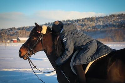 Inlägg 93 av Allround