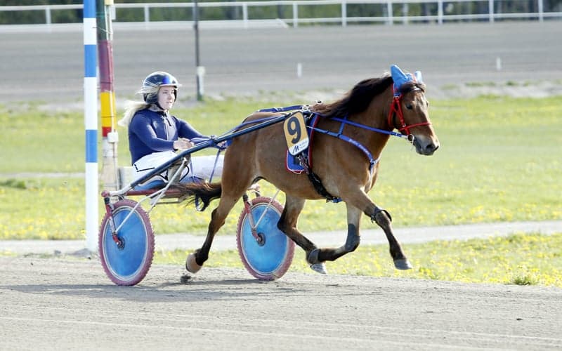 Bild 2 av Duneyr